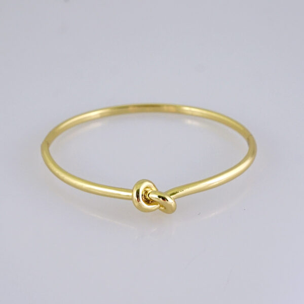 Women's Bangle - Pulso Dama - Plain - 14K Real Color - Stainless Steel - P365