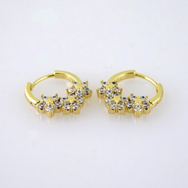 E1826 Women's Earrings - Aretes Dama - Zircon Stone/14k Real Color/