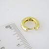 E1946 Earrings - Aretes - Zircon Stone - 14K Real Color