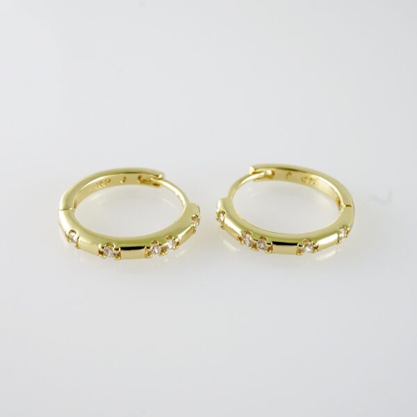 E2069 Earrings - Aretes - Zircon Stone - 14K Real Color
