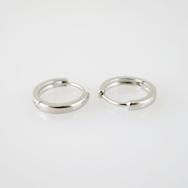 E2164 Earrings - Aretes - Plain - Silver Color - Image 2