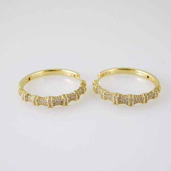 E2301 Earrings - Aretes - Zircon Stone - 14K Real Color