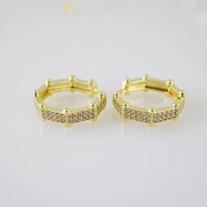 E2479 Earrings - Aretes - Zircon Stone - 14K Real Color