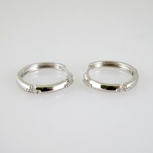 E2528 Earrings - Aretes - Zircon Stone - Silver Color