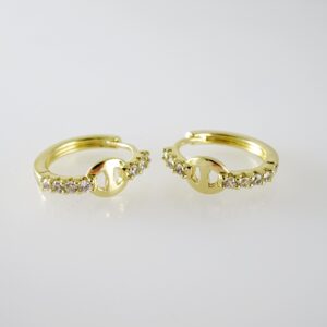 E2673 Earrings - Aretes - Zircon Stone - 14K Real Color