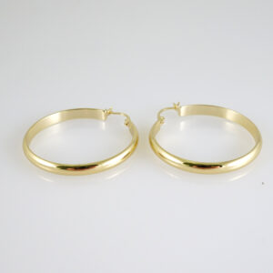 E2817 Earrings - Aretes - Zircon Stone - 14K Real Color