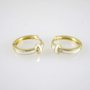E2871 Earrings - Aretes - Zircon Stone - 14K Real Color